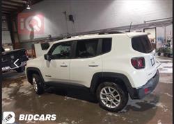 جيب رينيجيد